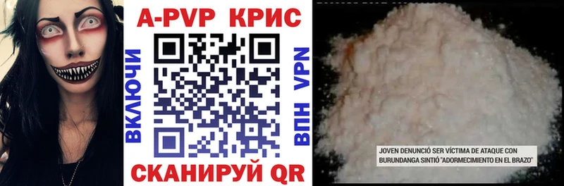 блэк спрут как войти  Суворов  Альфа ПВП СК 