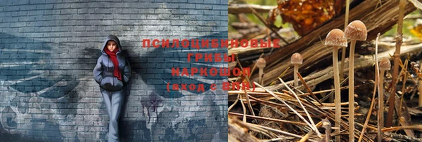 скорость Строитель