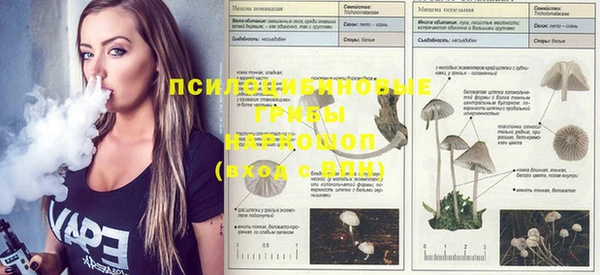 скорость Строитель