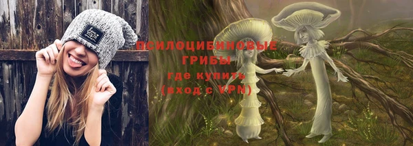 шишки Сосновый Бор
